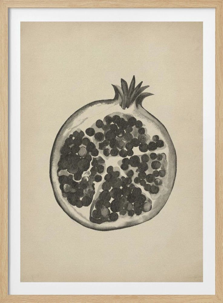 Vintage pomegranate | Poster