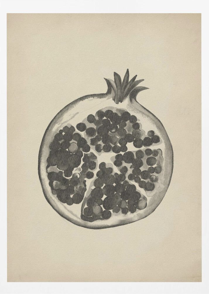 Vintage pomegranate | Poster