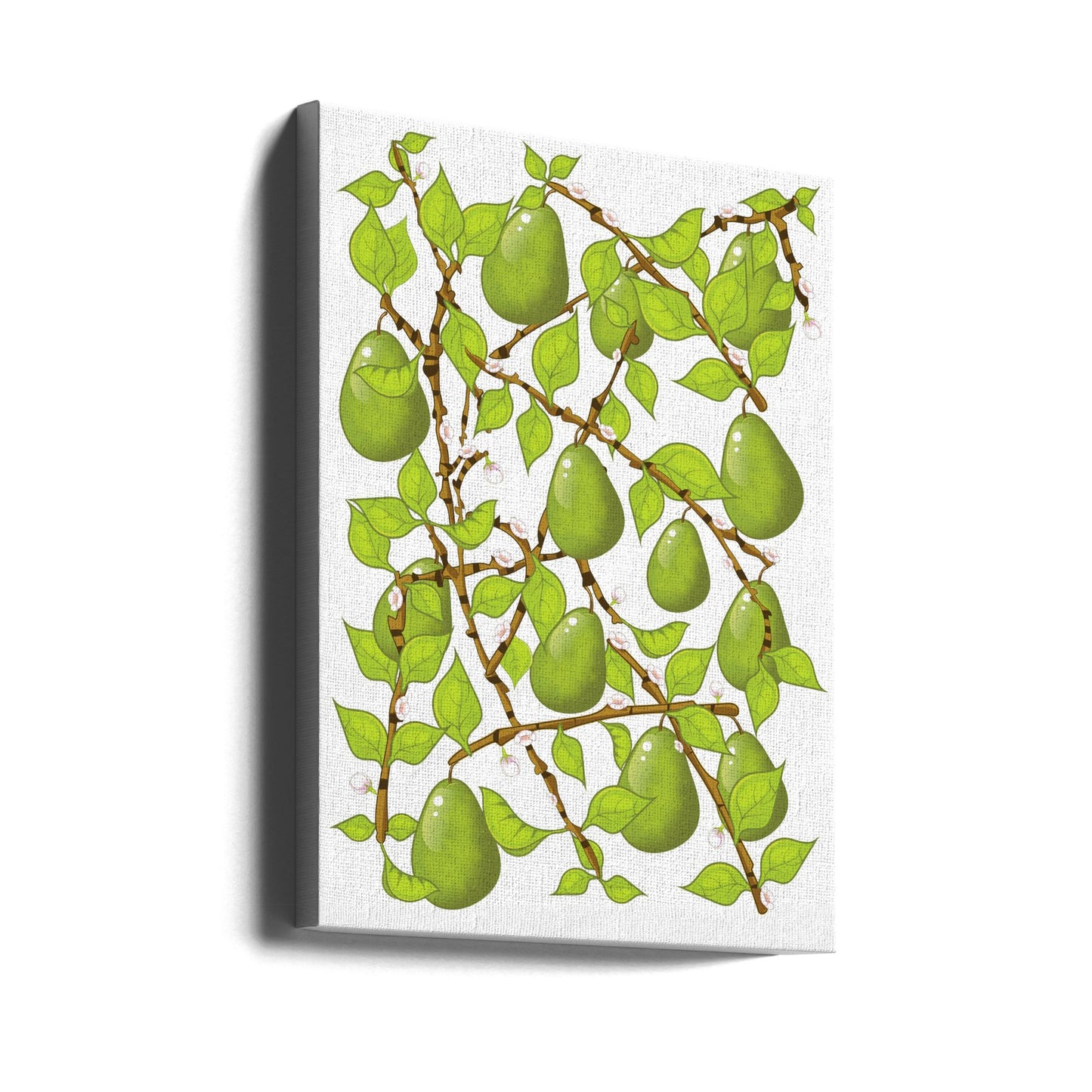 Pear Blossom Tangle | Canvas