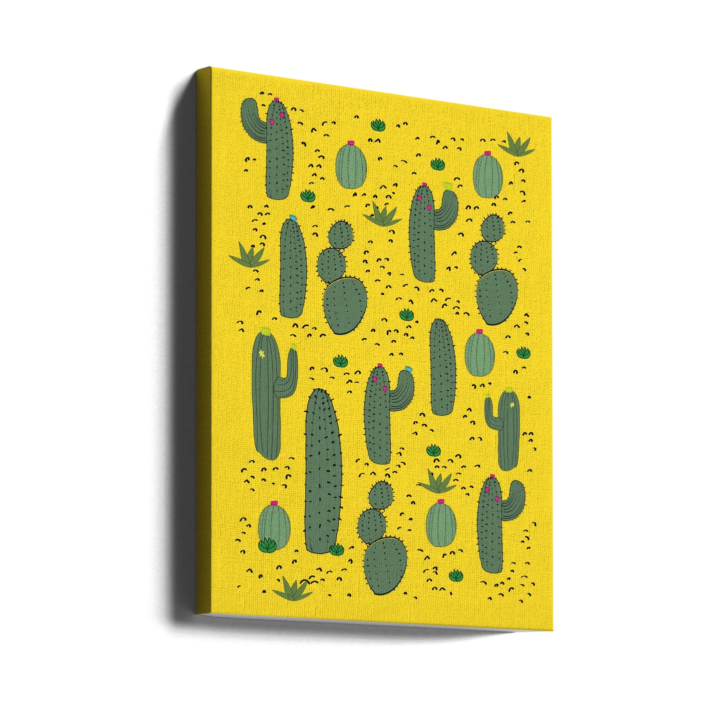 Cactus | Tableaux sur Toile