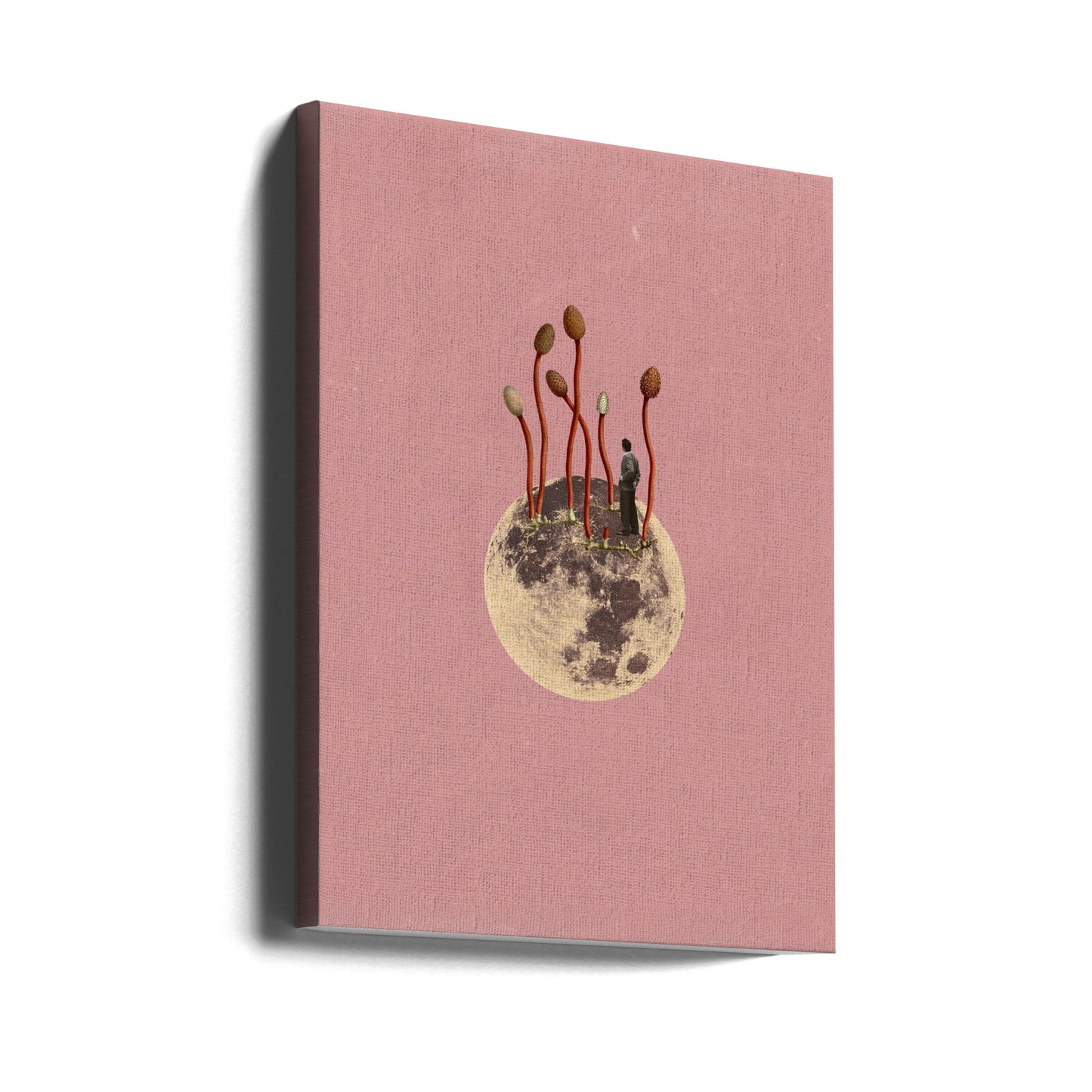 Lunar Growth | Canvas
