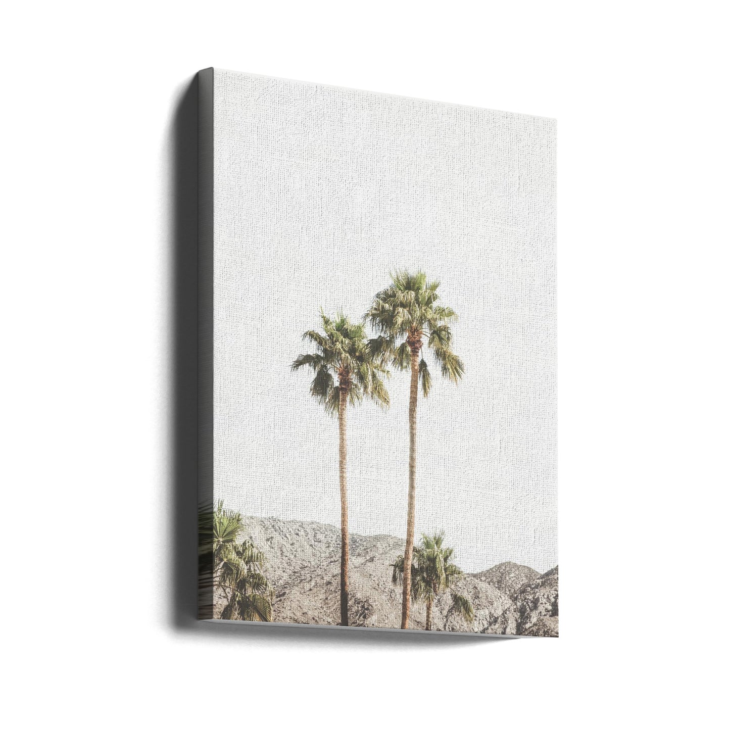 Palm Springs Palmer | Lærredsbilleder