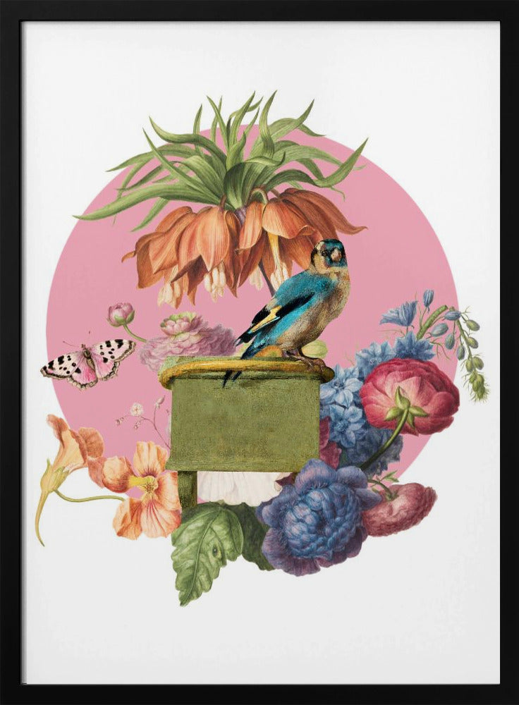 Colorful Bird Perched On A Box | Poster