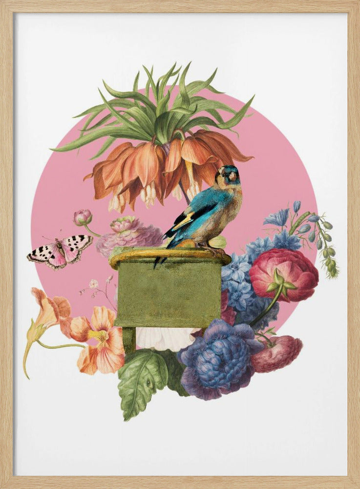 Colorful Bird Perched On A Box | Poster
