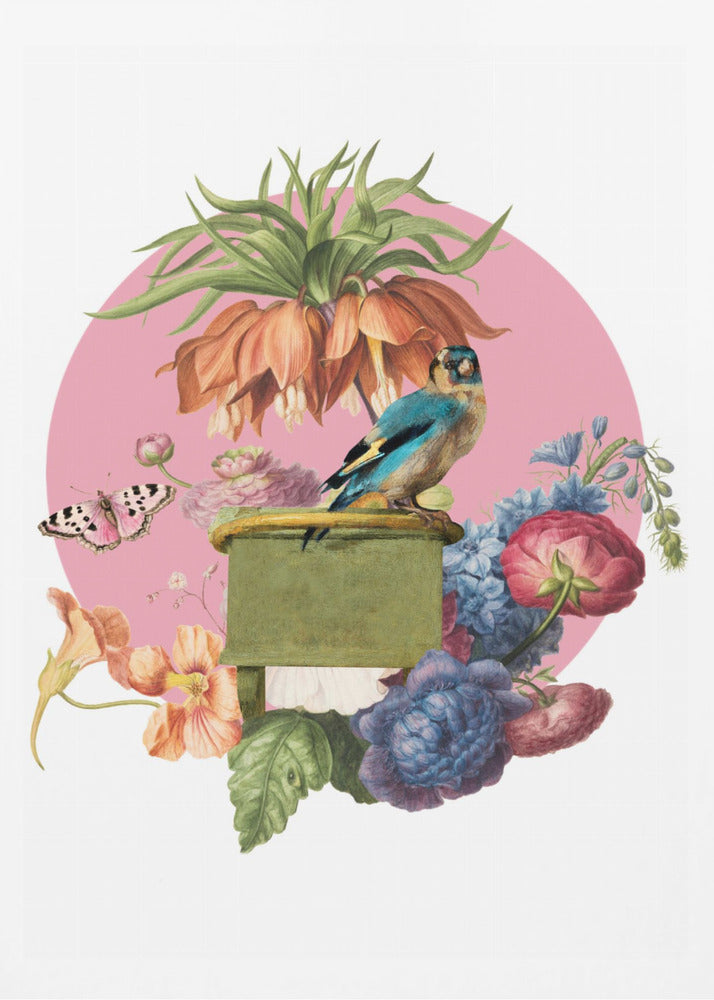 Colorful Bird Perched On A Box | Poster