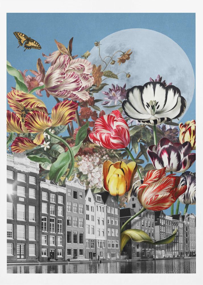 Vibrant Tulips And Intricate Butterflies | Poster