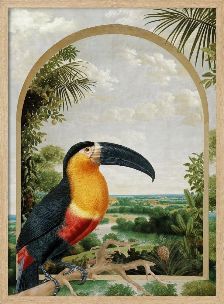Tukan uppe på en gren | Poster