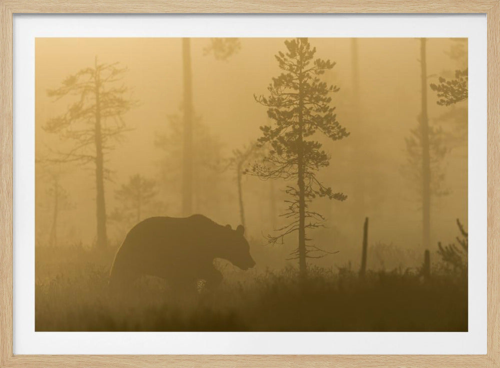 Nebbia mattutina | Poster - Stampe d’Arte