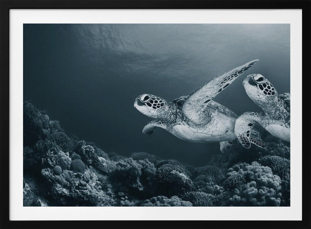 Danse des jumeaux | Posters - Affiche Artistique
