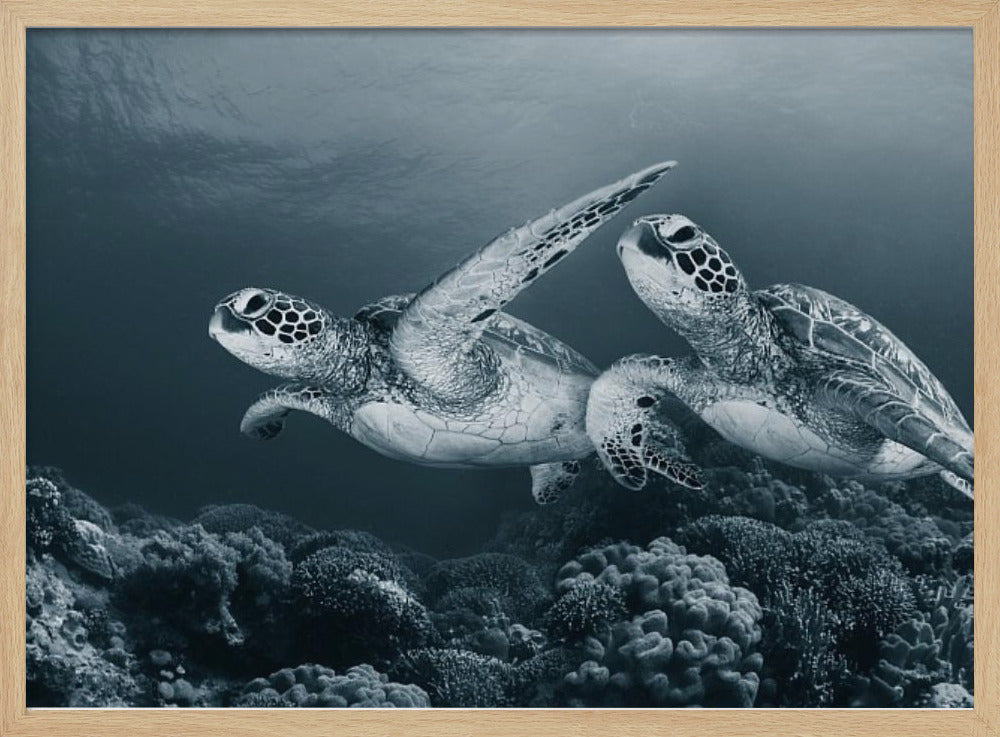 Danse des jumeaux | Posters - Affiche Artistique