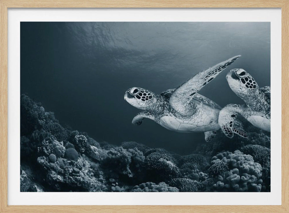 Danse des jumeaux | Posters - Affiche Artistique