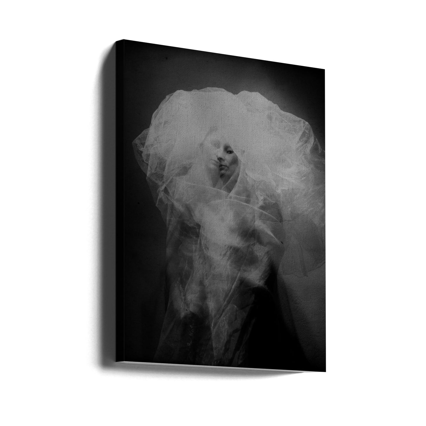 medusa | Canvas