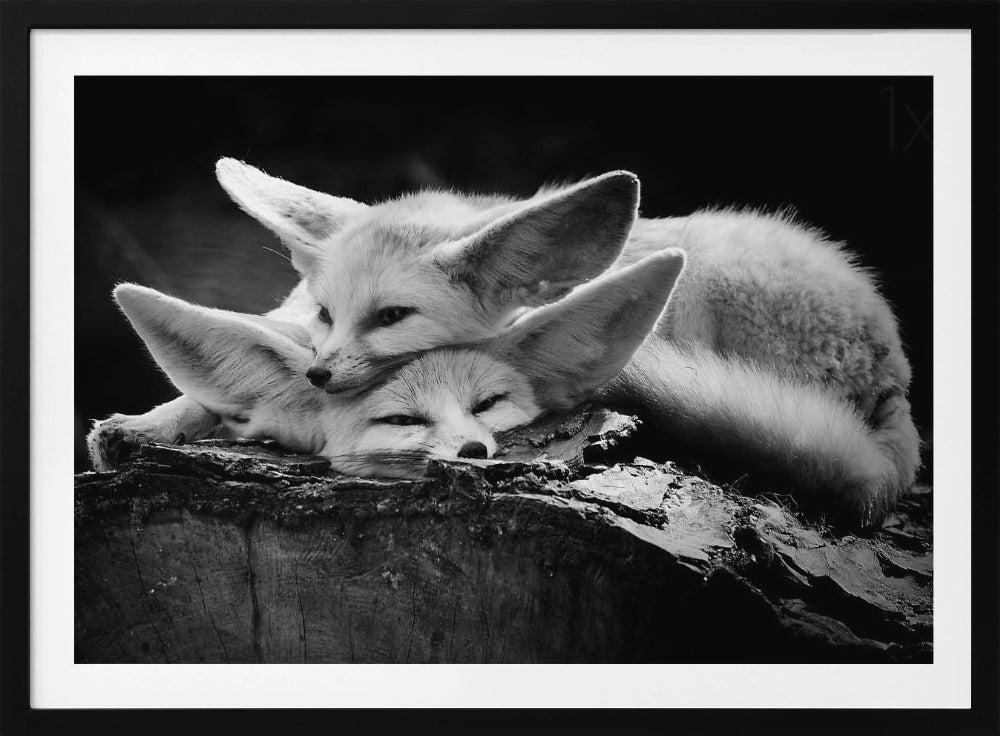 La coppia felice | Poster - Stampe d’Arte