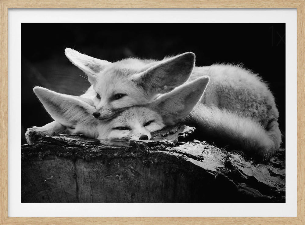 La coppia felice | Poster - Stampe d’Arte