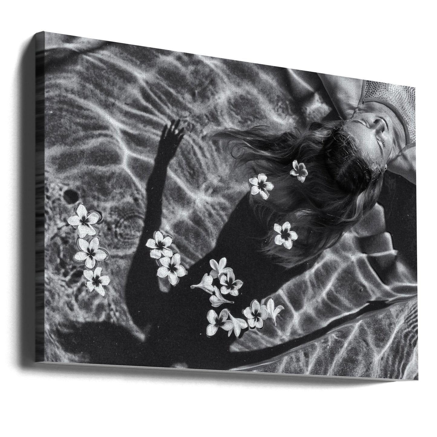 Frangipani tree | Canvas
