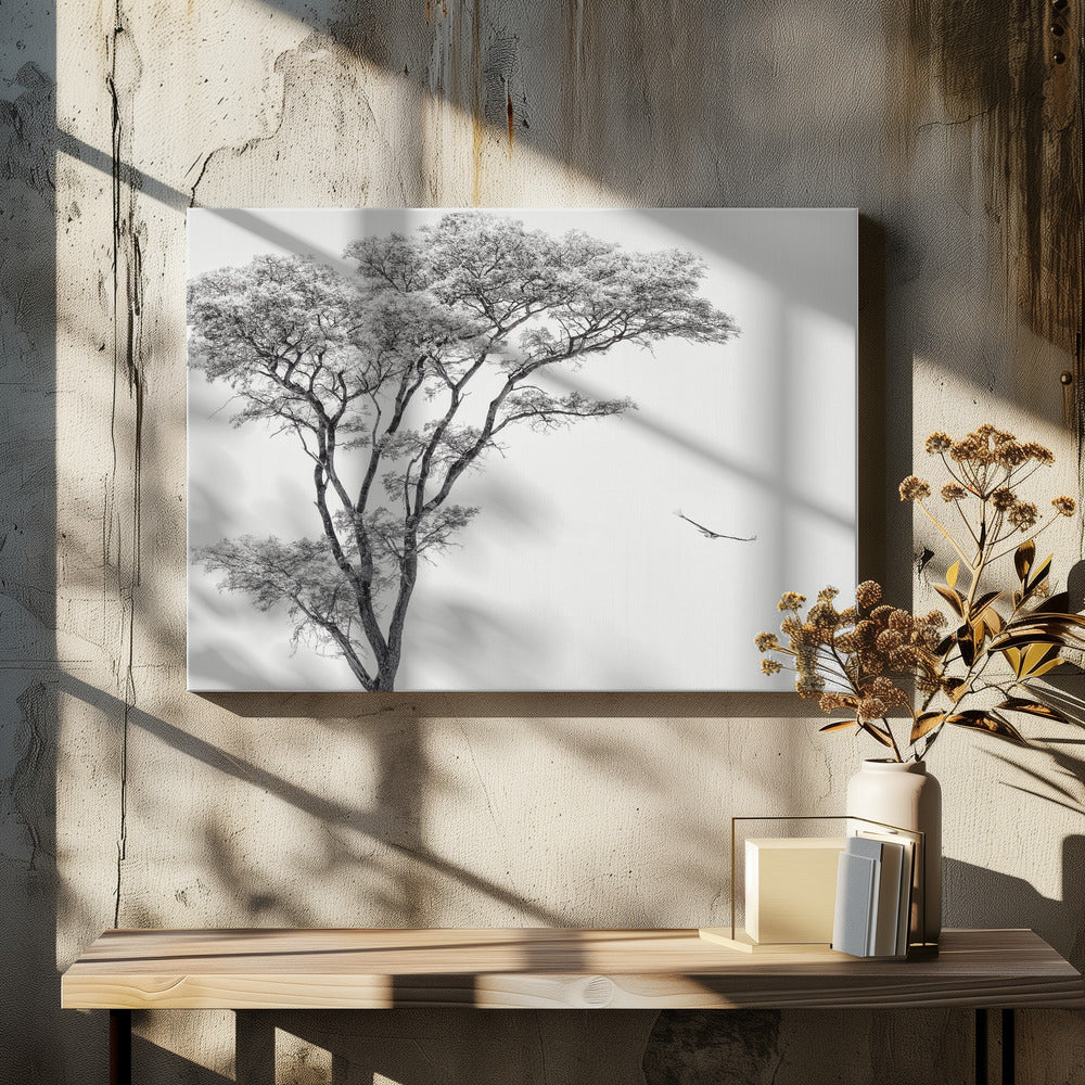 l'aigle africain | Tableaux sur Toile