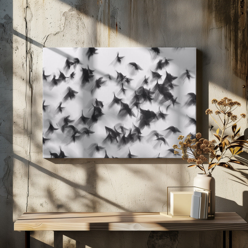 Fåglar | Canvas