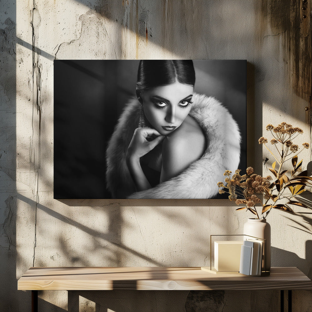 Diva3 | Lerretsbilder