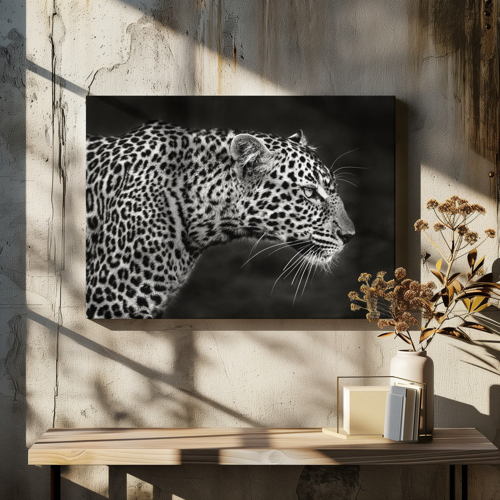 Leopard närbild | Canvas