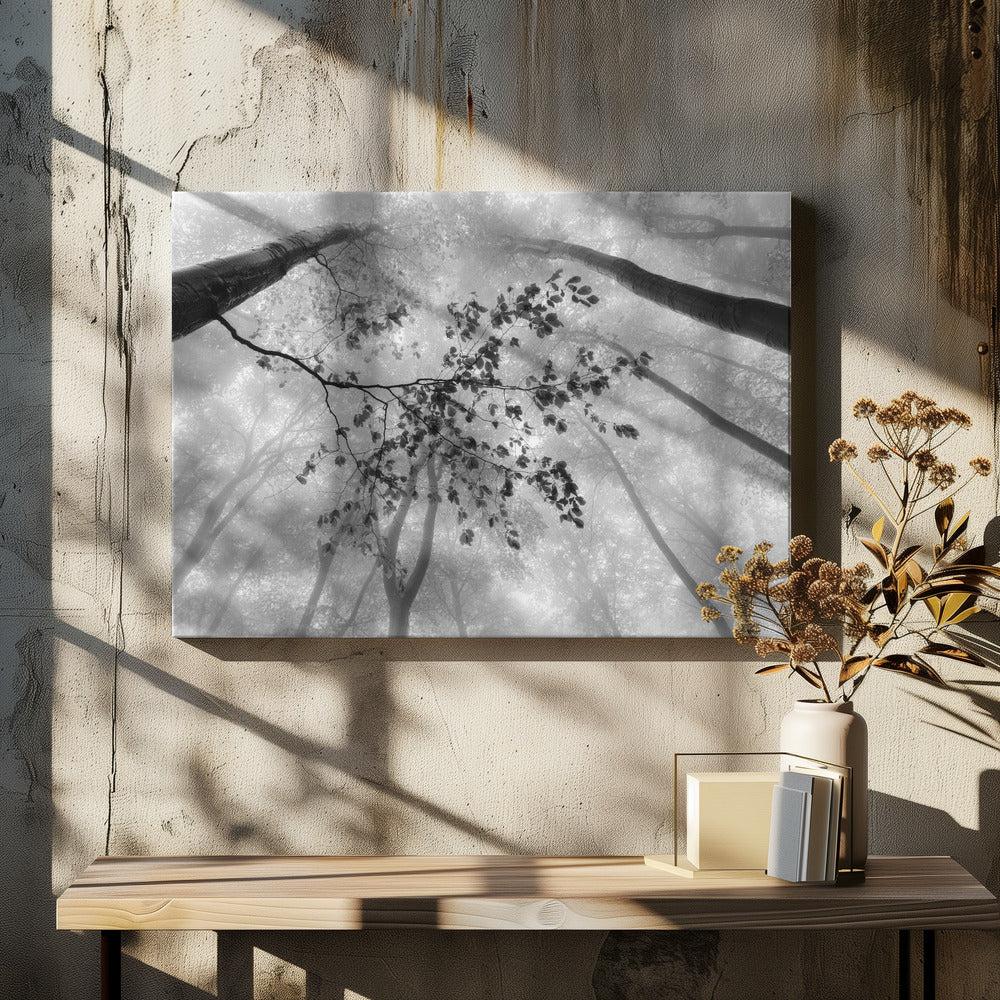 The branch | Canvas