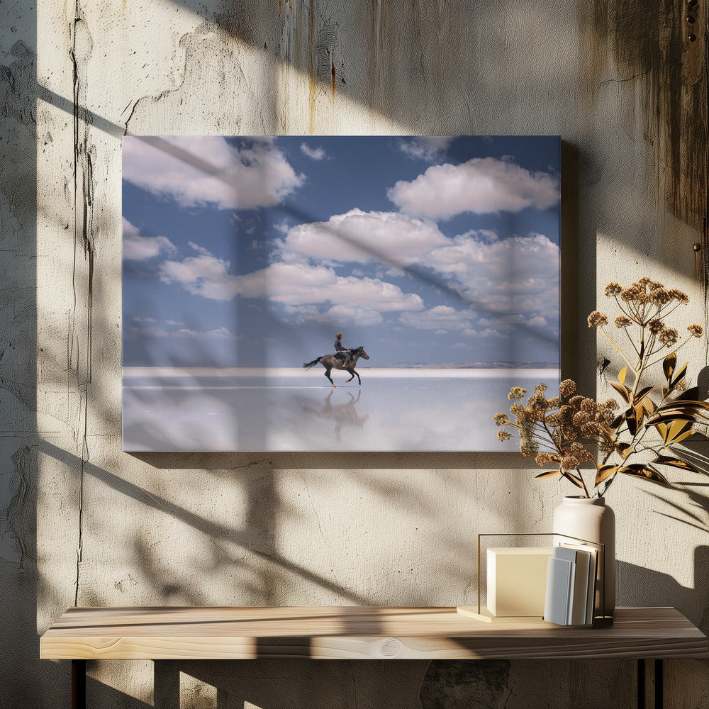 Salziger Reiter | Leinwand-Bilder