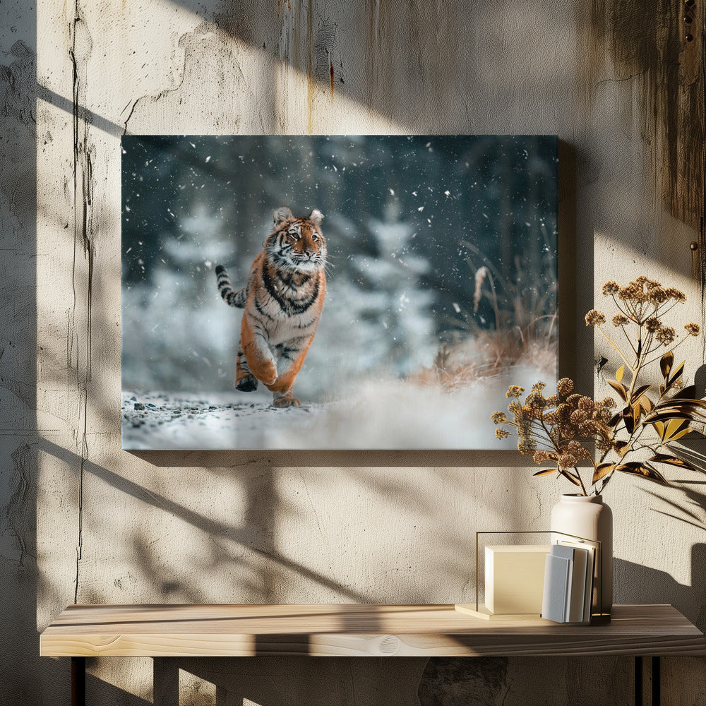 Den sibiriska tigern | Canvas