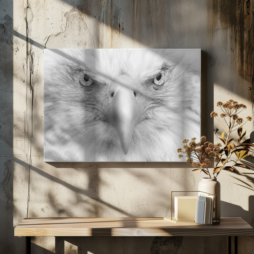 Moordende ogen | Canvasprints