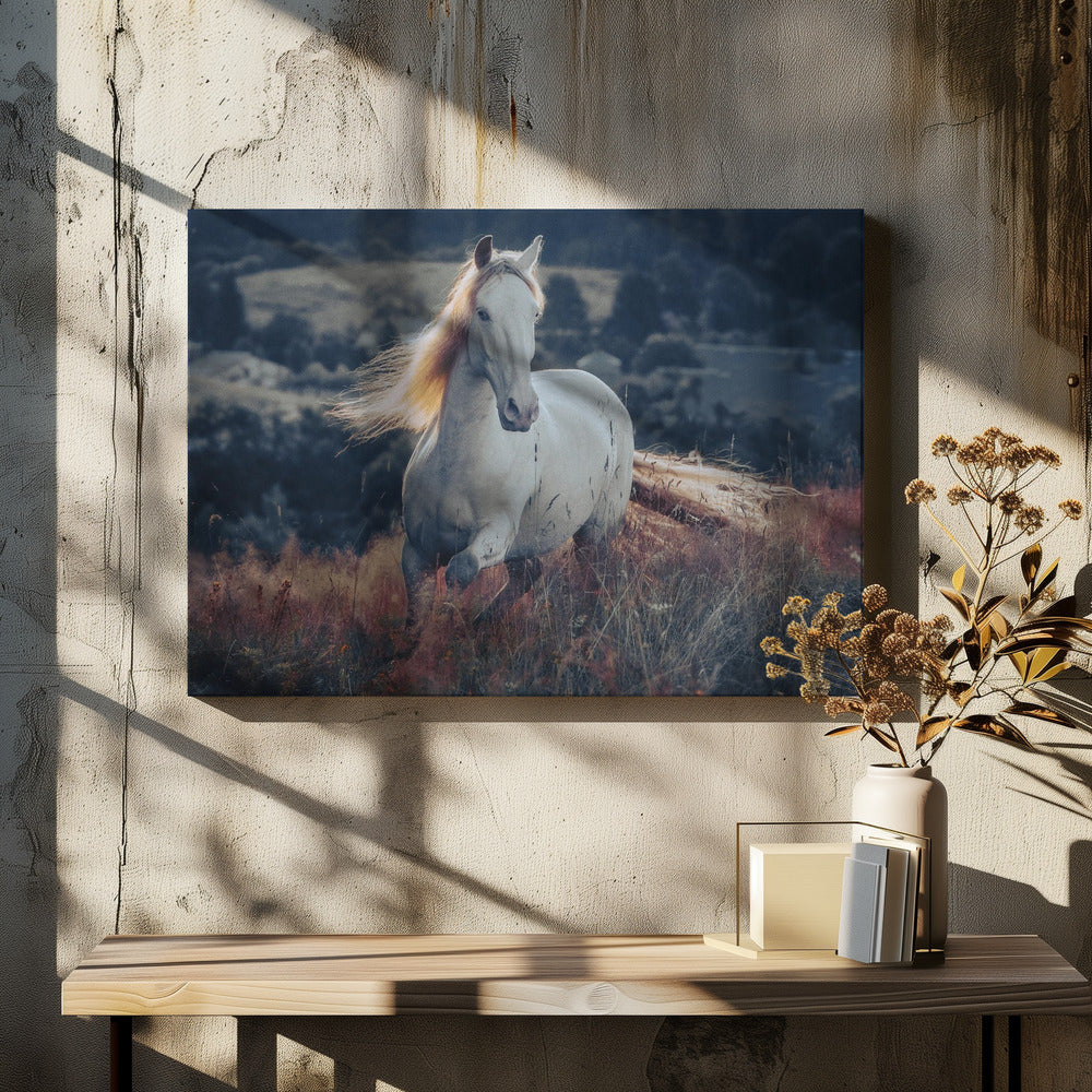 une courte histoire sur le lever du soleil | Tableaux sur Toile