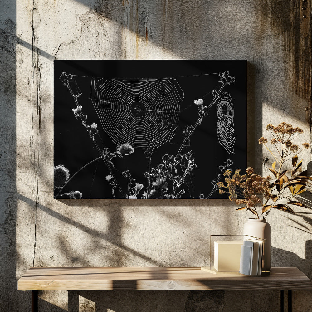 Spindelnät | Canvas