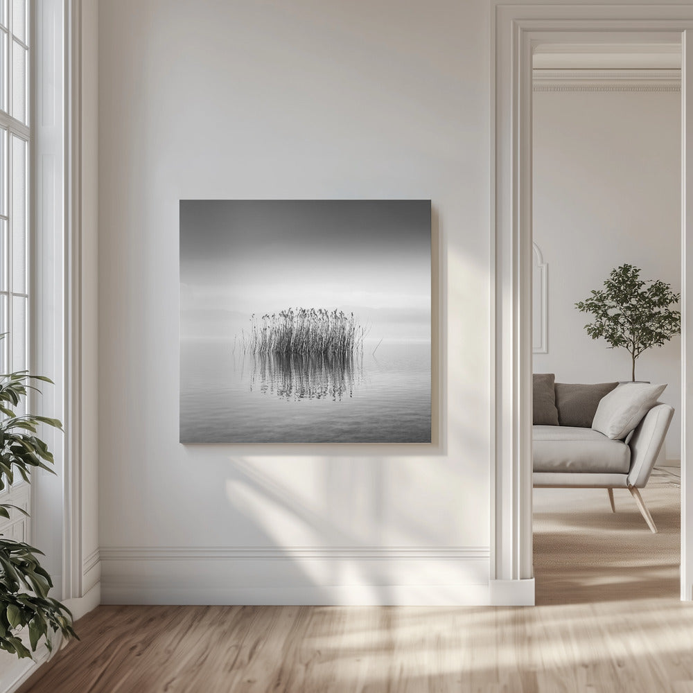 Silenzio in bianco e nero | Stampe su Tela