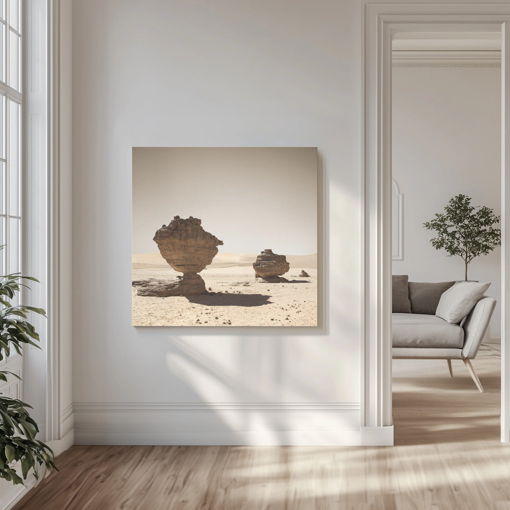 Mycket Admer | Canvas