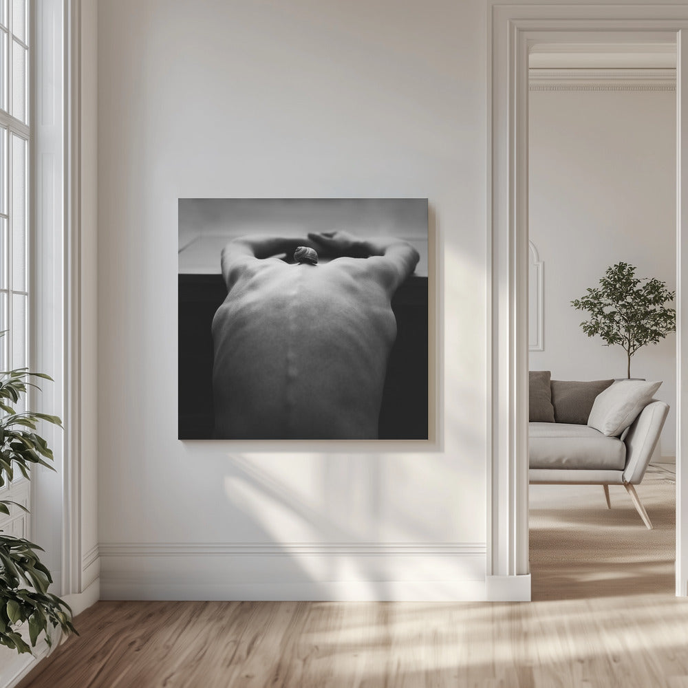 cochlée | Tableaux sur Toile