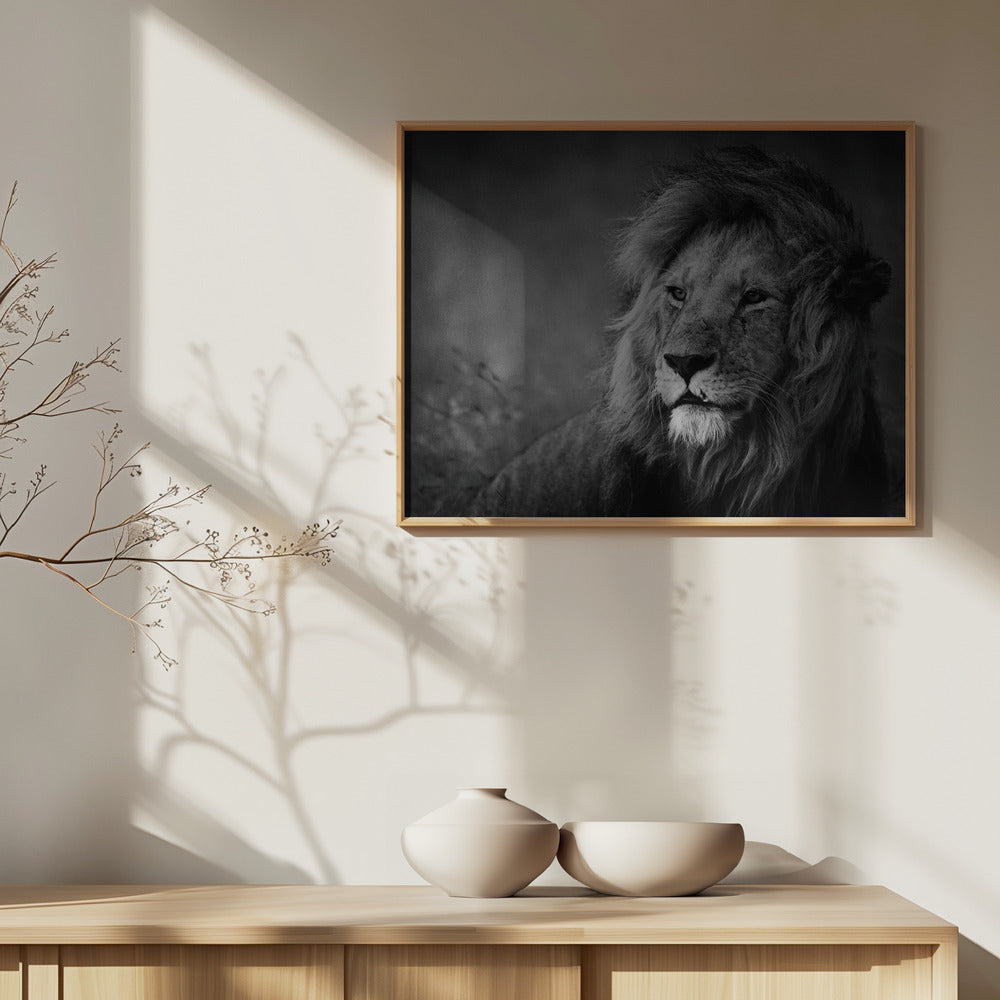 Royal | Posters - Affiche Artistique