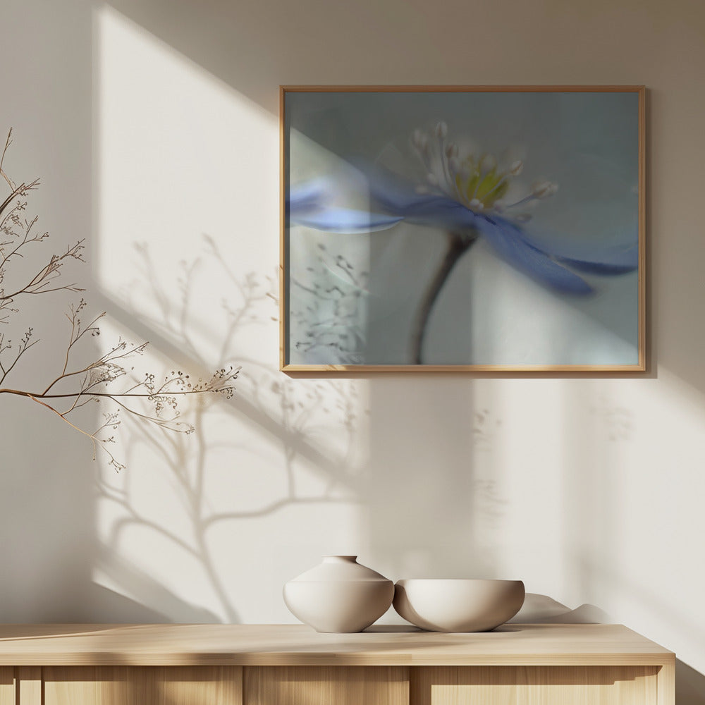 Dansende anemoner | Plakater - Kunsttryk
