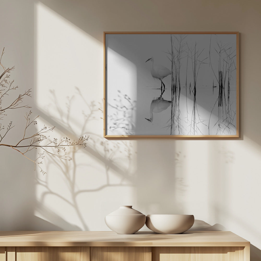 weiß | Poster - Kunstdruck