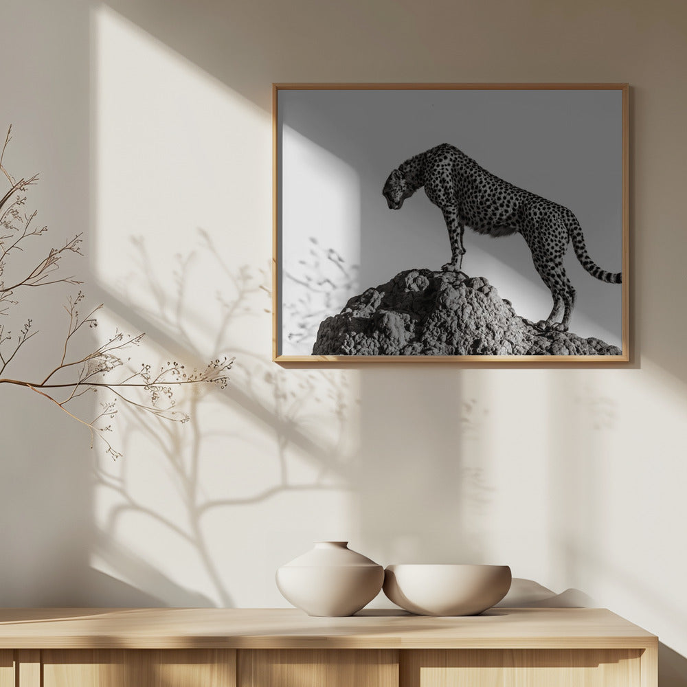jægeren | Plakater - Kunsttryk