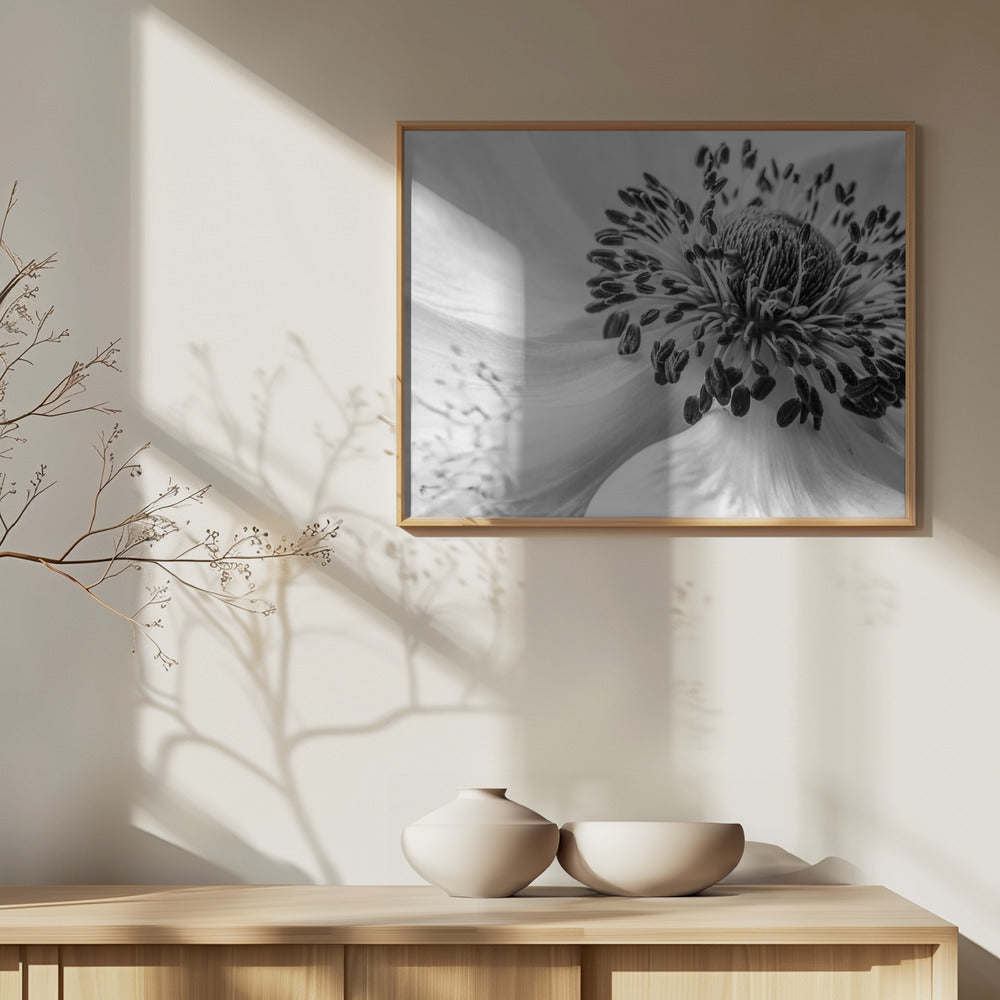 Anemone | Poster