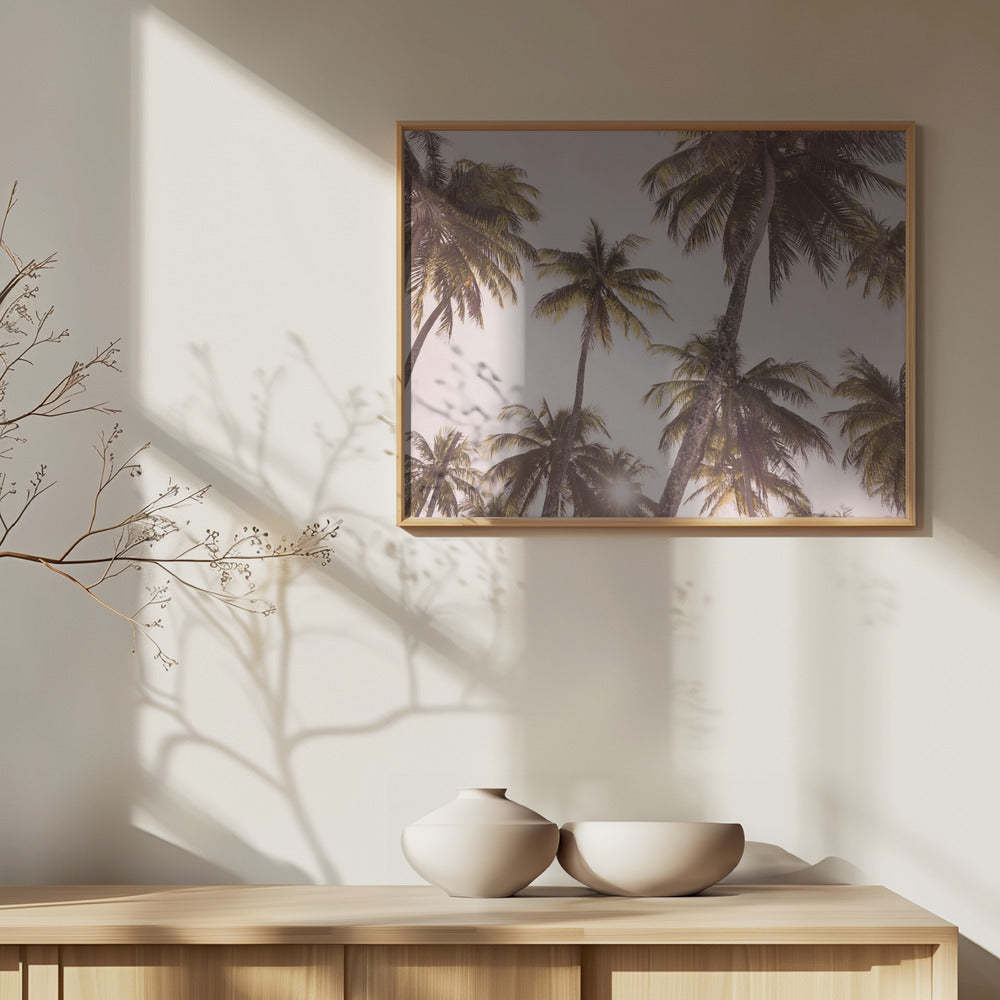 Blush Palmer | Plakater - Kunsttryk