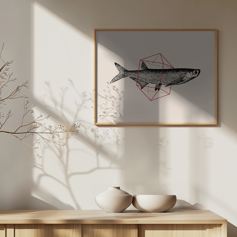 Fisk i geometri nr 2 | Poster