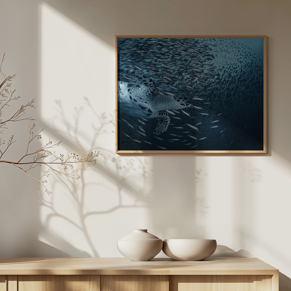 Bøj | Plakater - Kunsttryk