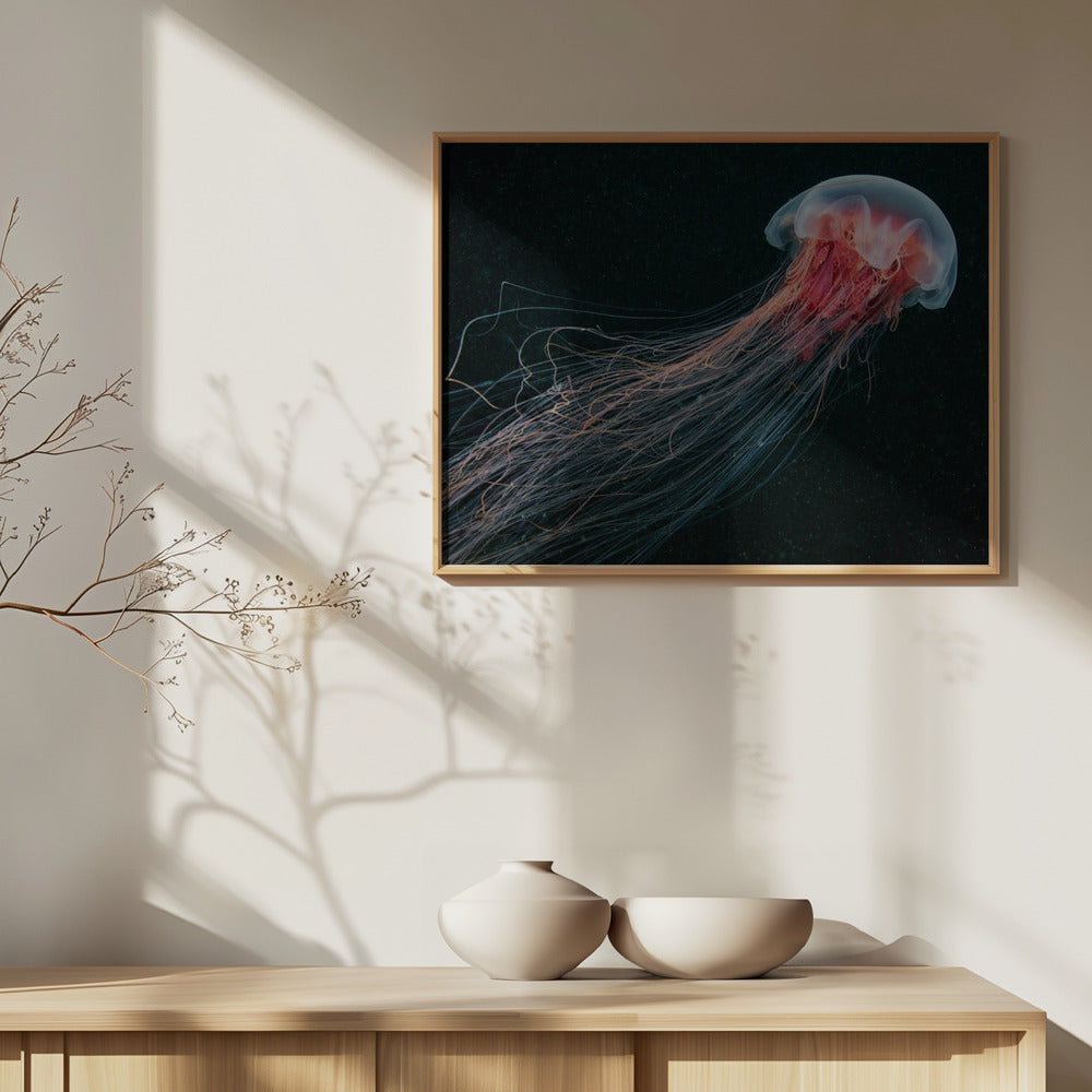 Coda lunga | Poster - Stampe d’Arte