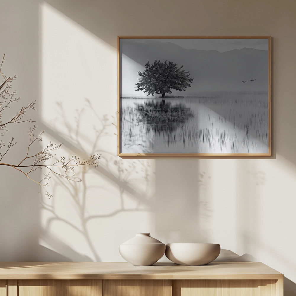 Espejo de primavera | Posters - Impresiones de Arte