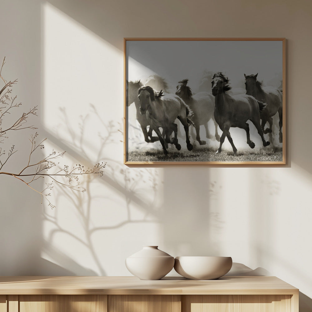 Cheval | Posters - Affiche Artistique