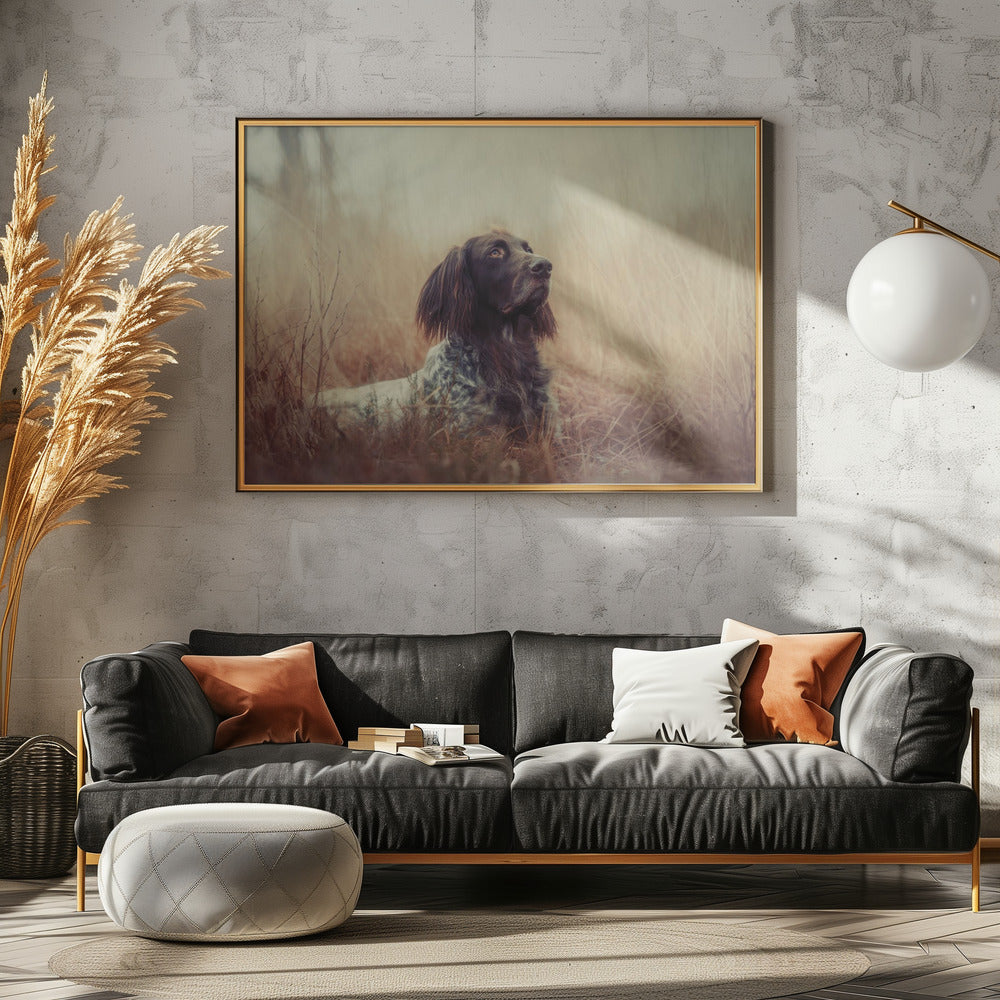 Beautiful Aragorn | Poster