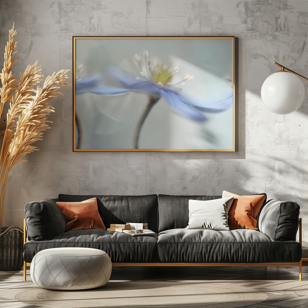 Dansende anemoner | Plakater - Kunsttryk