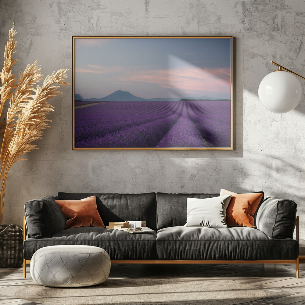 Lavendelmark | Plakater - Kunsttryk