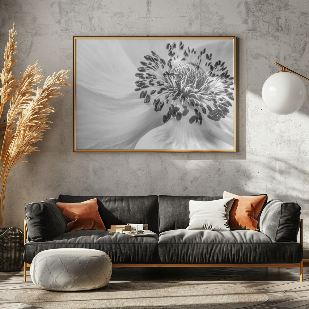 Anemone | Poster