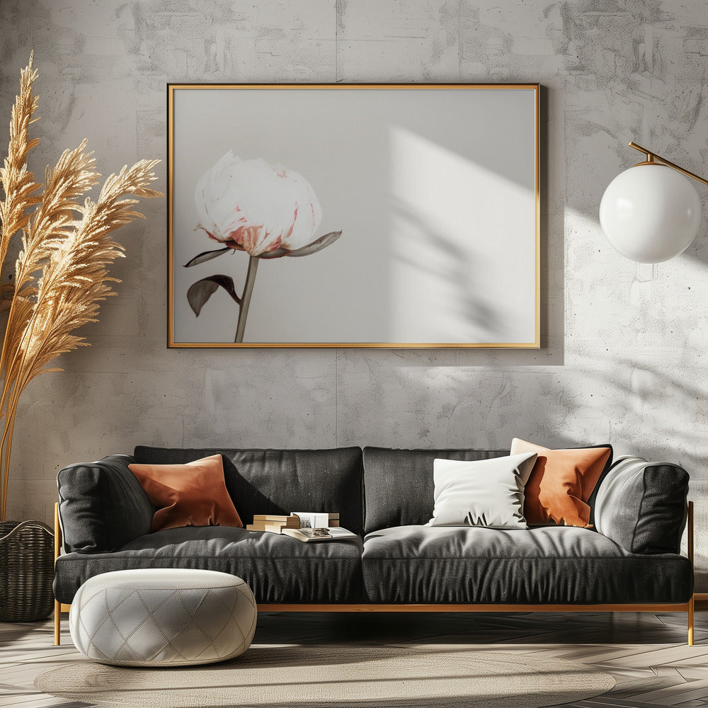 Peony 02 | Poster