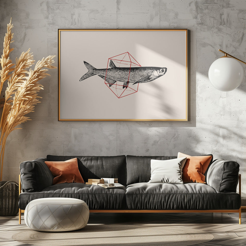 Fisk i geometri nr 2 | Poster
