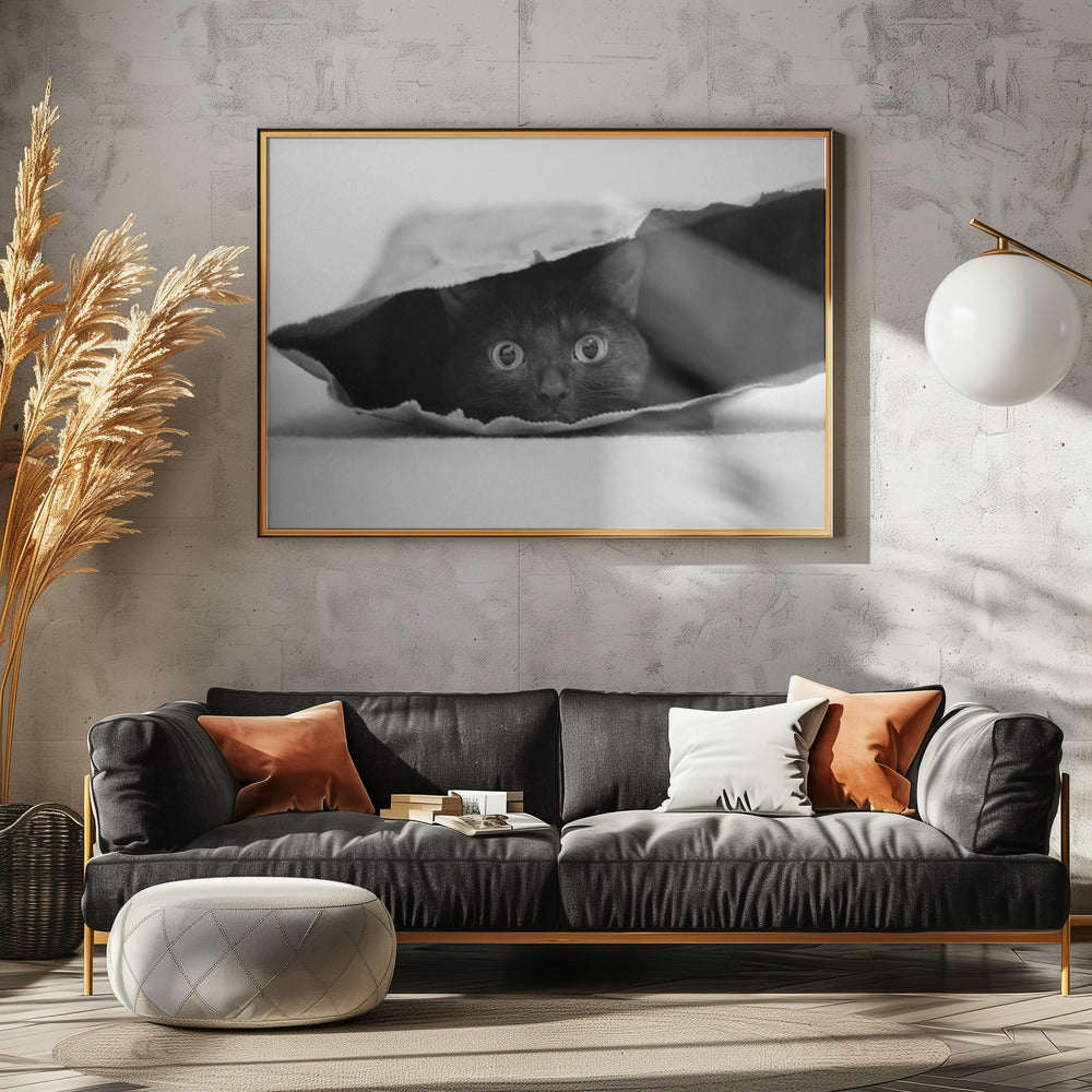 Katze im Sack | Poster - Kunstdruck